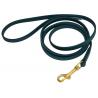 Smell Proof Waterproof Dog Lead With Orrosion Resistant Brass Bolt Snaps