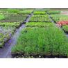 100% Polypropylene Agriculture Non Woven Fabric Weed Control Ground Cover Net