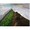 China Pla Spunbond Nonwoven for Agricultue cover,Nonwoven Fabric, customized agriculture greenhouse ground weed barrier pp spu wholesale