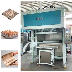 China Automatic egg tray machine egg carton machine pulp molded production line supplier