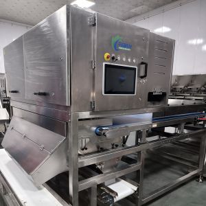 China Intelligent And Efficient Auricularia Sorter: Precise Sorting, New Choice For Improving Quality wholesale