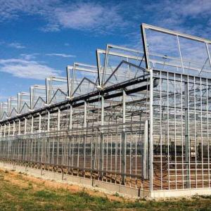 Galvanized Steel Skeleton Glass Greenhouse With Photovoltaic Panel
