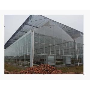 China Rectangular Transparent Glass Greenhouse With High Durability wholesale