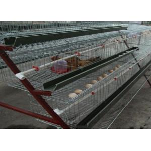 China Space Saving Broiler Poultry Farming Equipment Chicken Egg Farm Equipment supplier