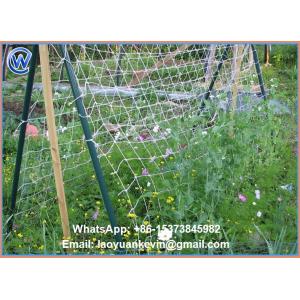 China 1.8x18m 24x24cm mesh size white cucumber yam support plant trellis net vegetable support net wholesale