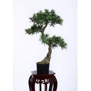 China 80cm Artificial Bonsai Tree Refreshing , Indoor Bonsai Plants Gorgeous Everlasting supplier