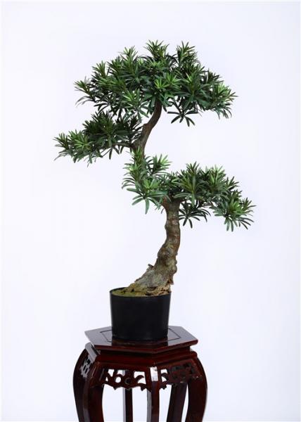 80cm Artificial Bonsai Tree Refreshing , Indoor Bonsai Plants Gorgeous