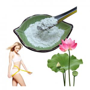 10% 50% 98% Lotus Leaf Extract Nuciferine Herbal Extract Powder Free Fatty Acids
