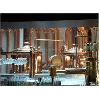 China Professional Turnkey Copper Beer Brewing Equipment with Mash Tank and Lauter Tank on sale