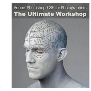 China Windows Adobe Photoshop CS6 Design Standard Software Microsoft Adobe Retail Package supplier