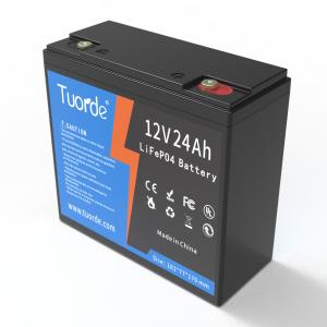 12V 24Ah Lead Acid Replacement Battery AGV Rechargeable 3000 Cycle OEM ODM