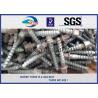 China Stainless Steel Rail Screw Spike 5.6 Grade For Railway Fasteners wholesale
