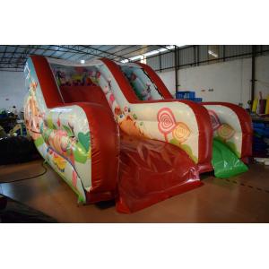 China PVC Tarpaulin Forest Commercial Inflatable Water Slides / Outdoor Mini Dry Slide supplier