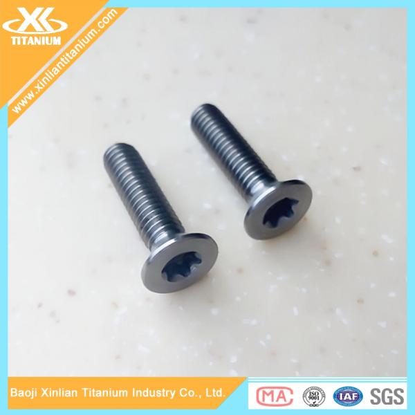 High Quality and Best Price Metric Gr5 Titanium Torx Flat Head Screws