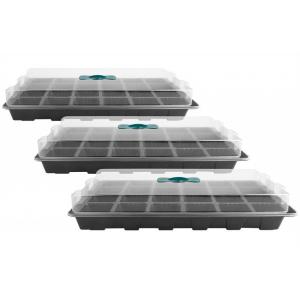 Greenhouse Plant Strawberry Seed Plastic Horticultural Trays 24 Cells