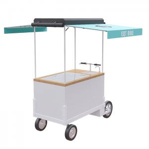 China Stationable Version Bicycle Push Cart Large Storage With 125L Class III Freezer supplier