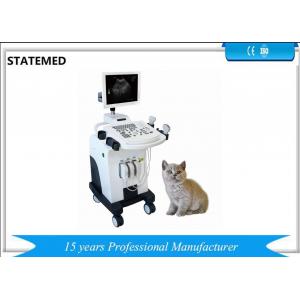 China Gray Scale Trolley Type Ultrasound Scanner For Dog Pregnancy Examination supplier