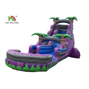 China Dual Lane 0.6mm PVC Inflatable Water Slide With Pool 30ft Purple For Summer supplier