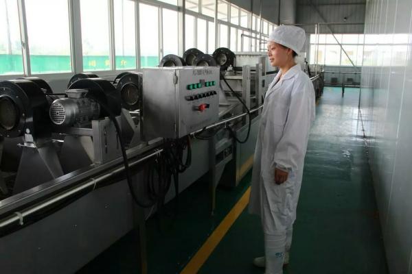 Complete Liquid UHT Milk Making Machine , Dairy Milk Processing Machinery