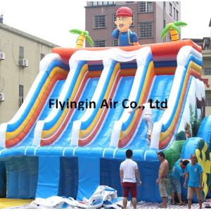 China Outdoor Fun Sports Equipment Inflatable Water Slide with Blower for Children and Adults supplier