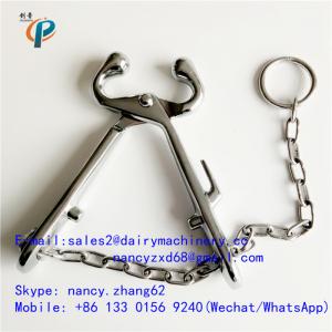China Carbon steel nose tongs for cattle, calf nose clamp , nose grips for cow holding , with chain supplier