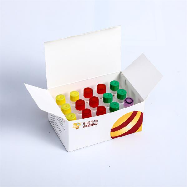 High Quality Second Generation Sequencing Library Building Reagent Fast DNA Library Prep Kit For MGI