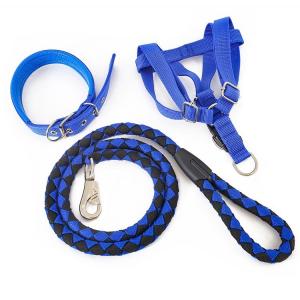 Nylon Pet Traction Rope Three Piece Set Teddy Gold Hair Chest Strap