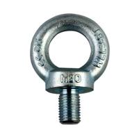 China Galvanized Carbon Steel Forged Eye Bolt DIN 580 Eye Bolt M6 To M100 on sale