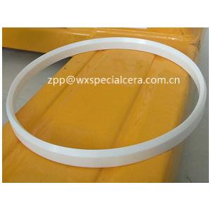 Double Edge Zirconia Ceramic Seal Ring For Ink Cup Pad Printer