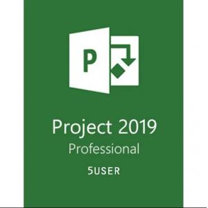 Project 2019 Pro Retail 5 Pc For Windows Available Global Digital Activation Key