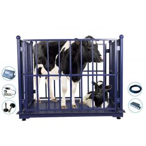 Vet LED KELI Electronic Cattle Weighing Scales Bluetooth