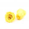 China Long Lasting Dia 5-6cm No Pollen Preserved Rose Heads wholesale