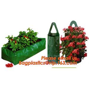 China Plastic Hanging Growing Strawberry Bags Planter ,Hanging Strawberry Planter Bags,Strawberry Planter supplier
