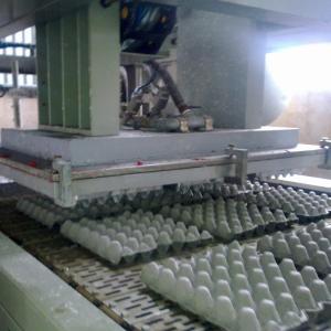 Farm Egg Box Forming Machine Carton Machinery Type Pulp Molding