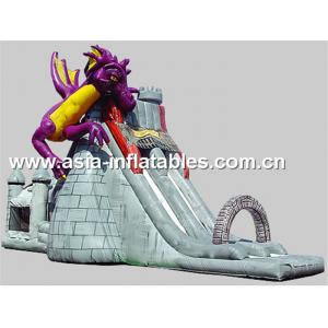China Creative Inflatable Slide In Dragon And Castle Theme For Children Outdoor Games supplier