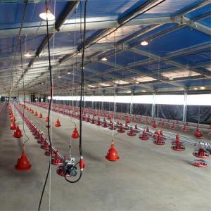 Excellent Ventilation Interlocking Broiler Floor System for Livestock Production Line