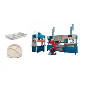 Biodegradable Pulp Molded Plate Production Line