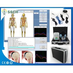 China Bioresonance Therapy Health Analyzer Machine , Quantum Bio feedback supplier