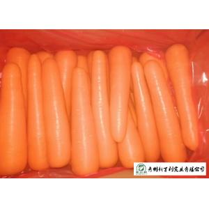 China Smooth Surface Fresh Organic Carrots Suitable For Frying / Simmering / Mixing supplier