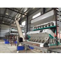 China CE Certificated Nuts Color Sorter Machine For Pine Nut Pistachio Walnut on sale