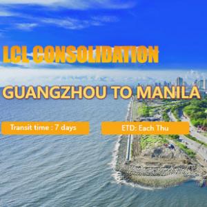 China LCL International Shipping from Guangzhou to Manila North Philippines supplier