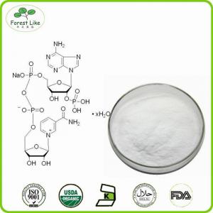 Best price CAS 53-84-9 Nicotinanide Adenine Dinucleotide