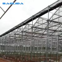 China Venlo Commercial Multi Span Steel Structure Polycarbonate Sheet Greenhouse on sale