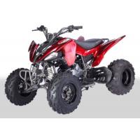 China 223mL Capacity 250cc Atv Quad on sale