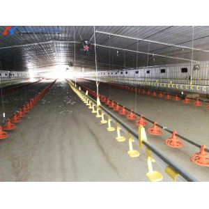 China Convenient Assembly Automatic Chicken Feeder System , Broiler  Chicken Drinking System wholesale