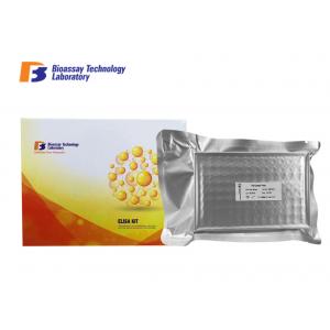 China Mouse Undercarboxylated Osteocalcin ELISA Kit Strong Sensitivity For Research supplier