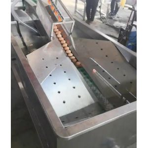 China Automatic Hen Egg Cleaner Equipment/Duck Egg Washing Machine/Egg Cleaning Machine For Processing Egg Stainless Steel Linear Egg Washer with Gentle Brushing Technology wholesale