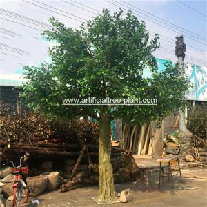 Large Fiberglass Material Artificial Ficus Tree Faux Banyan Plant For Outdoor Decoration