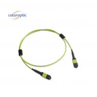China Multi fiber MPO Patch Cord PVC Jacket 12 Core OM5 Female To Female Connector PC Polishing on sale