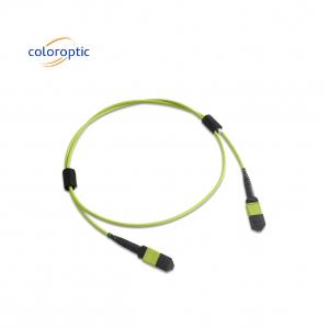 Multi fiber MPO Patch Cord PVC Jacket 12 Core OM5 Female To Female Connector PC Polishing